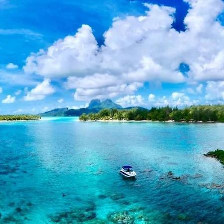 Sunset Hill Lodge Bora Bora Exteriör bild