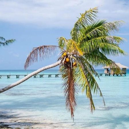 Sunset Hill Lodge Bora Bora Exteriör bild