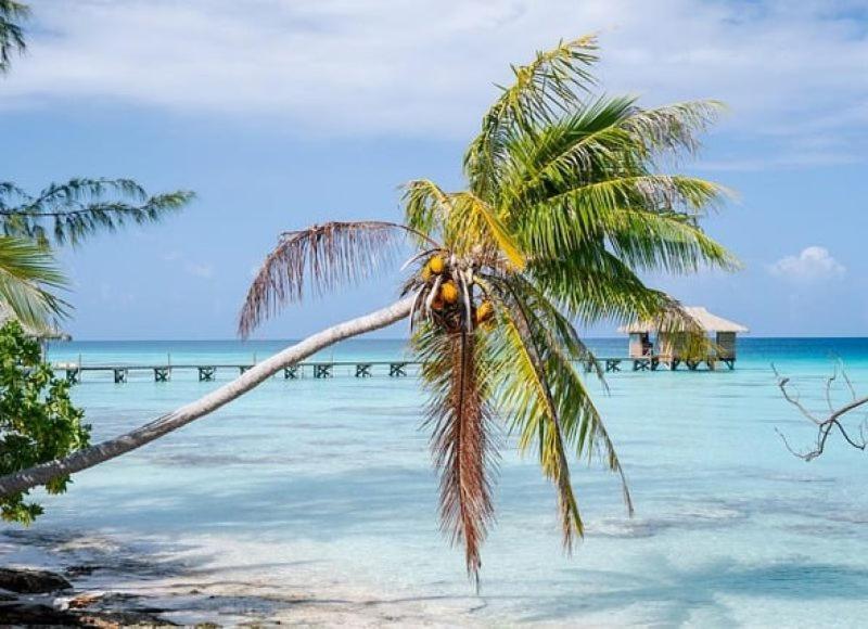 Sunset Hill Lodge Bora Bora Exteriör bild